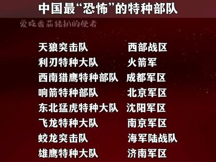 北京特种部队概况，数量与特点，北京特种部队概览，数量、特点全解析