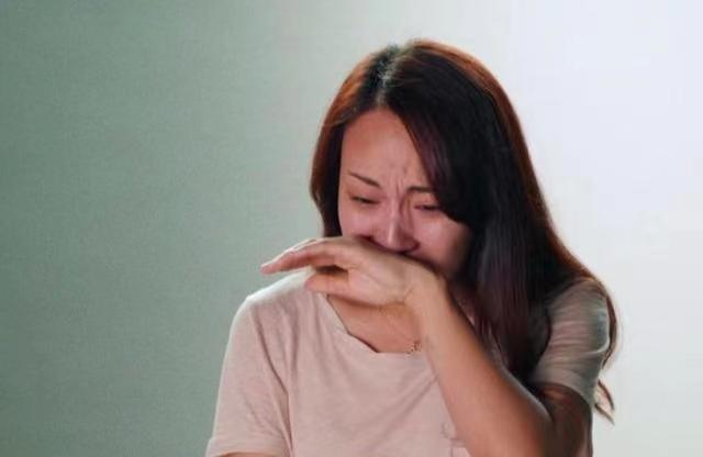 海峡两岸李红道歉事件深度解析，海峡两岸李红道歉事件全面解析