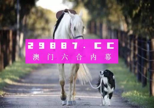 澳门49图正版资料，探索正版资料的重要性与获取途径，澳门49图正版资料探索，正版资料的重要性与获取途径解析
