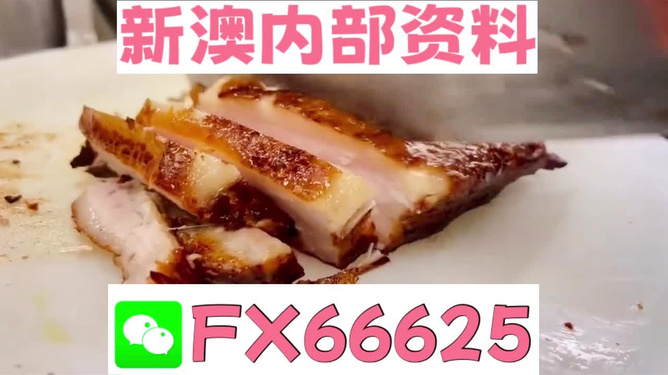 新奥长期免费资料大全，探索与学习的宝库，新奥长期免费资料大全，探索学习宝库之旅