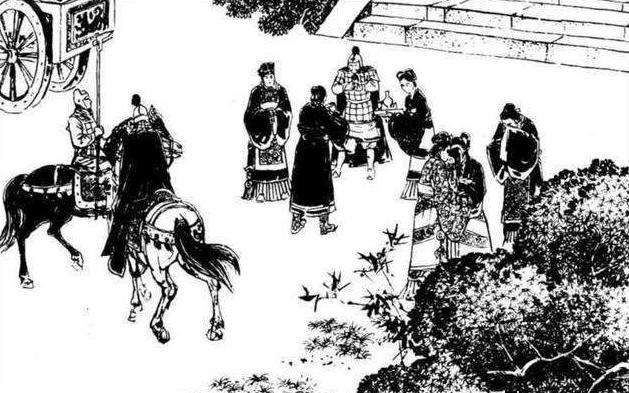 集团菌是什么菌，深入解析其特性与应用，集团菌特性及应用深度解析，揭示其究竟为何种菌类