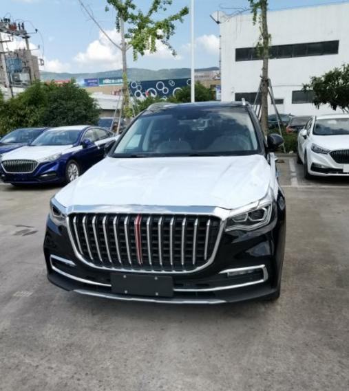 红旗120万车，豪华与科技的完美结合，红旗豪华轿车，豪华与科技的无缝融合，价值百万之选