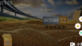 CCTV7军事农业频道，展现军事农业领域的权威声音，CCTV7军事农业频道，权威军事农业声音展现