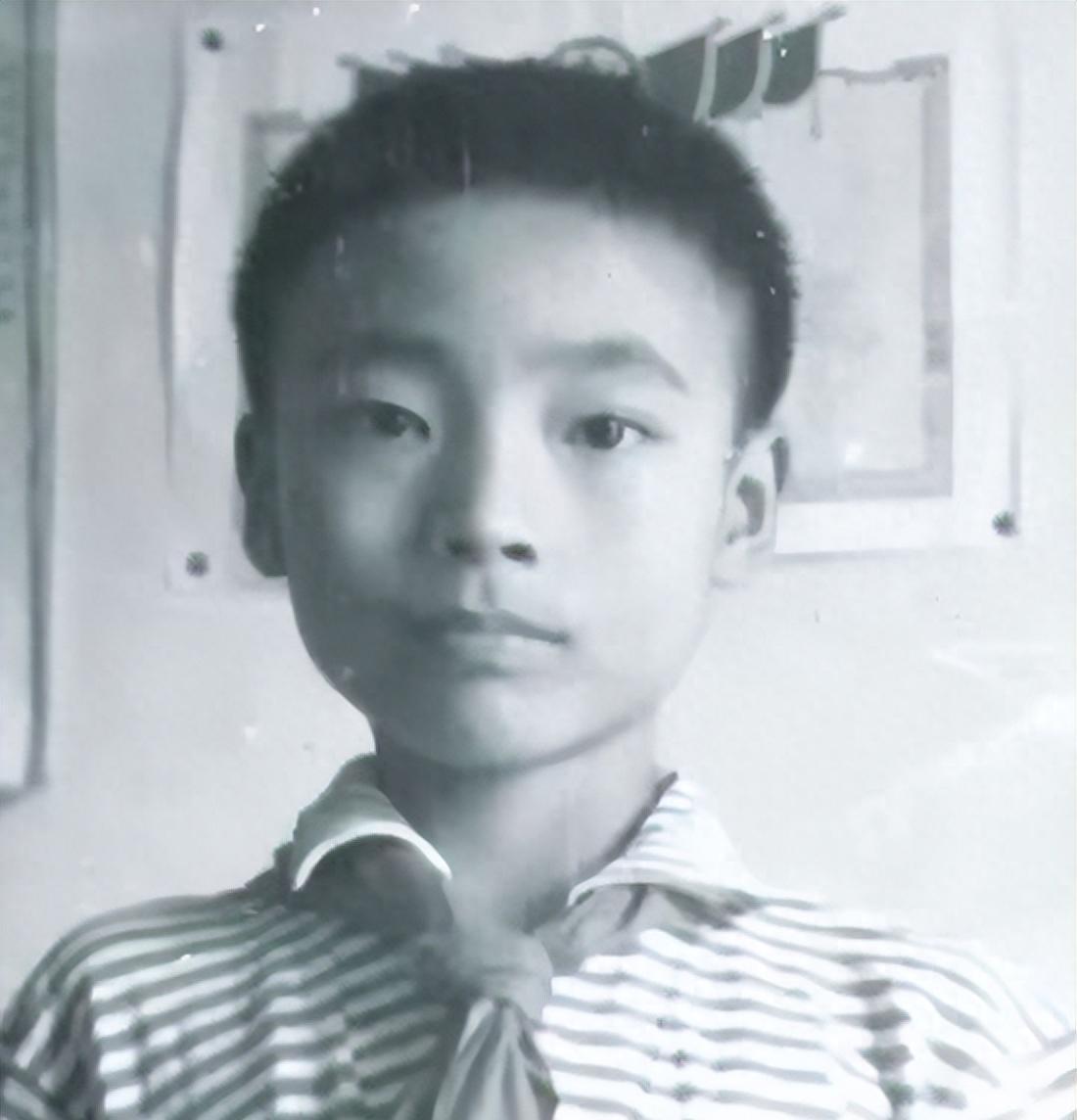 中央新闻直播佩洛西，揭秘事件背后的真相，揭秘佩洛西事件真相，中央新闻直播聚焦热议焦点