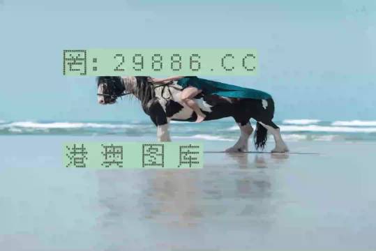 新澳一肖一码