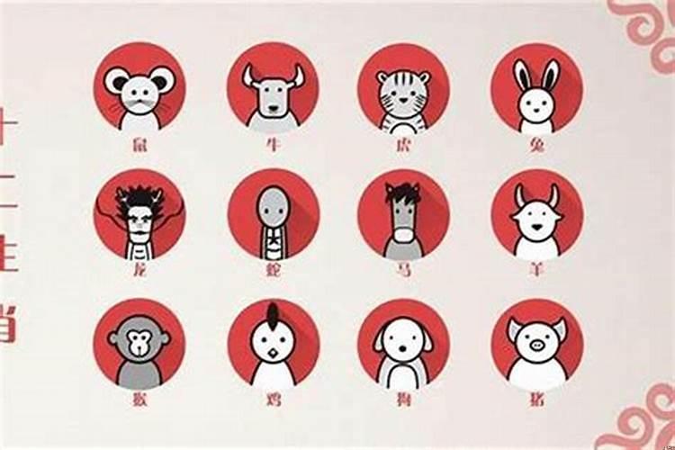 一肖二肖是什么意思——深度解析生肖文化中的奥秘，深度解析生肖文化，一肖二肖的含义与奥秘探索