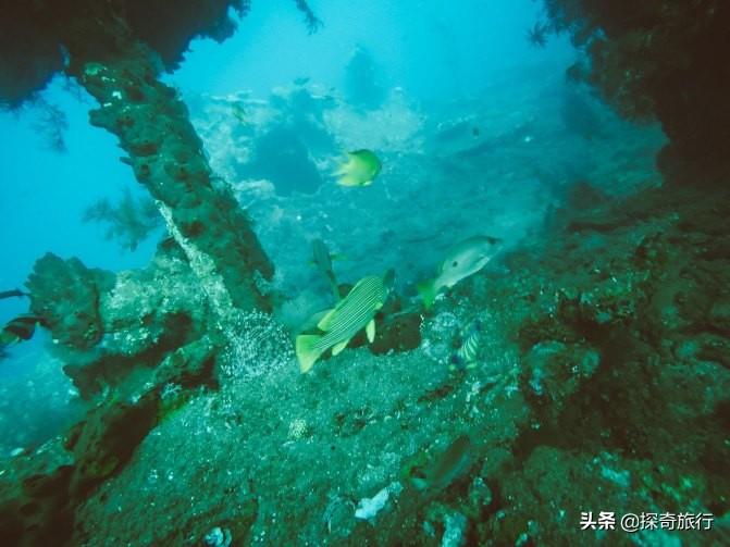 最新消息关于巴厘岛事件全面解析，巴厘岛事件最新全面解析报道