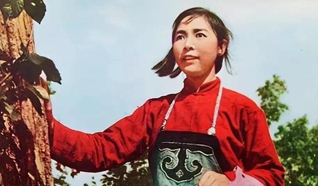 共和国勋章，四位卓越人物的荣耀之路，共和国勋章，四位卓越人物的辉煌荣耀之路
