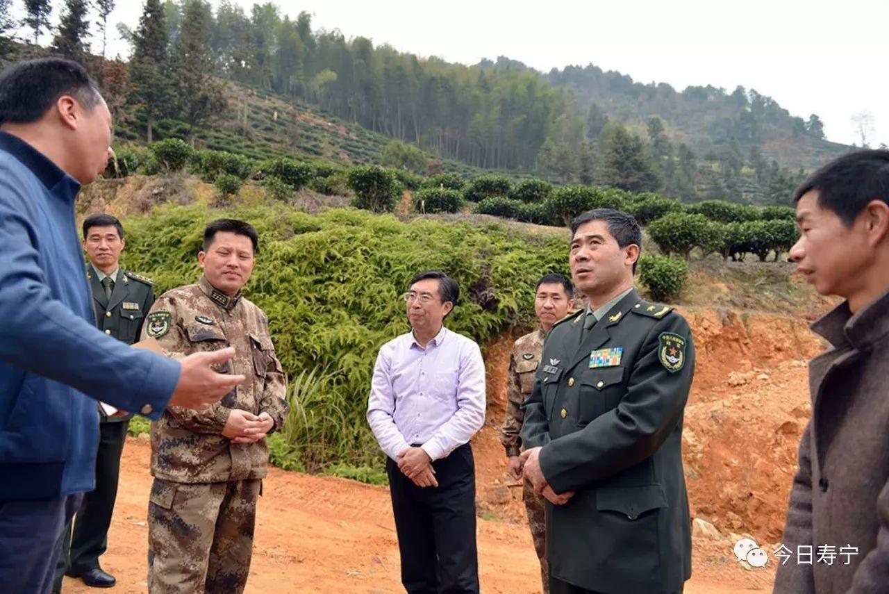 集团军政委权利的地位与职责，深度解析，集团军政委的权力地位与职责，深度解析