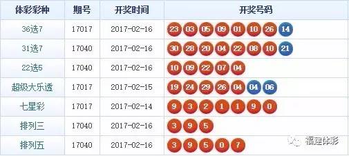 揭秘王中王资籵一肖中特，揭秘背后的秘密与真相正文，揭秘王中王资籁一肖中特背后的真相与秘密