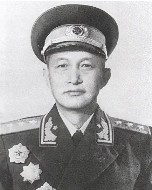 卓越贡献概览
