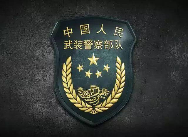 中国人民武装警察部队历史深度解析，中国人民武装警察部队历史深度探究