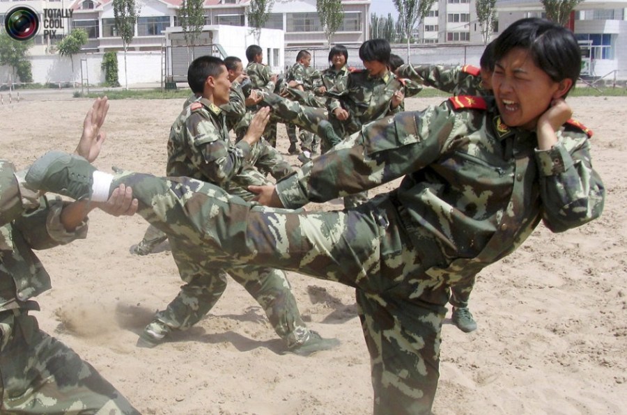 中国武警女兵的图片，展现力量与荣耀，中国武警女兵，力量与荣耀的展现