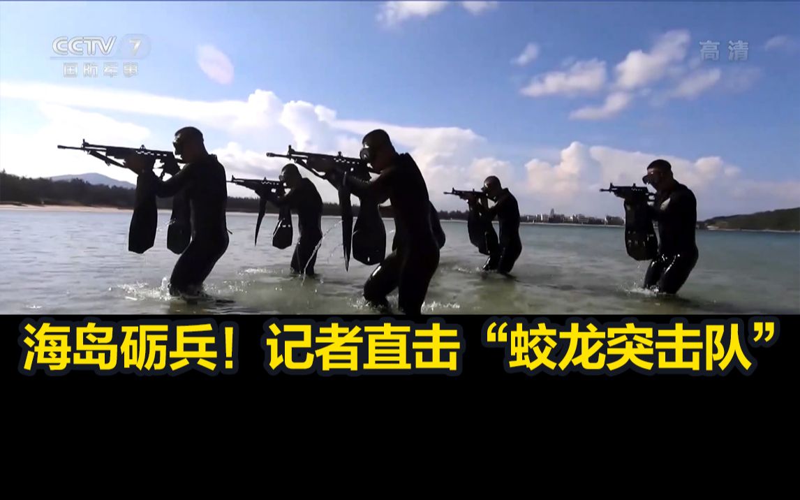 蛟龙突击队与海豹突击队，2024年巅峰对决前瞻，蛟龙突击队与海豹突击队，巅峰对决前瞻，2024年谁将更胜一筹？