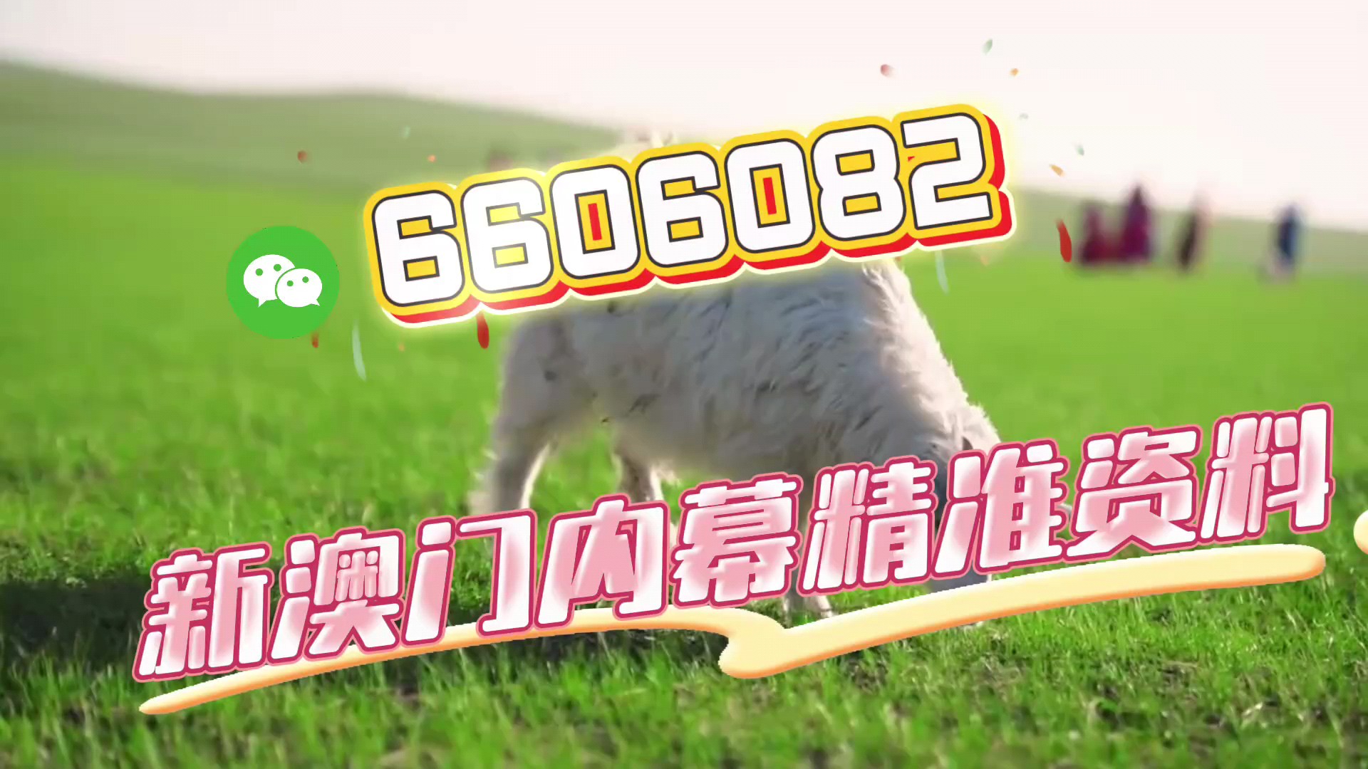 澳门一肖一码必开一肖，揭秘彩票背后的秘密与策略，澳门彩票揭秘，一肖一码必开策略与秘密探究