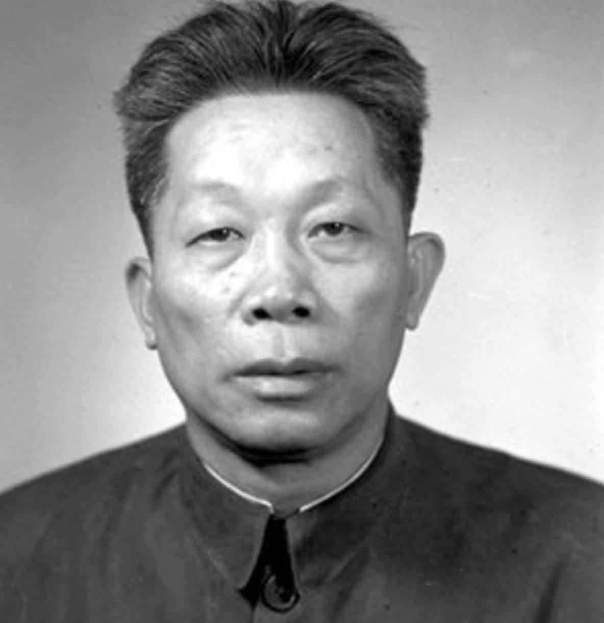 揭秘1950年海南岛决战，历史回顾与启示，揭秘海南岛决战，历史回顾与启示（1950年）