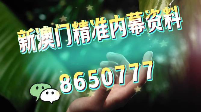 澳门今晚必开一肖一特，探索最佳精准预测之道，澳门今晚生肖一肖一特精准预测探索指南