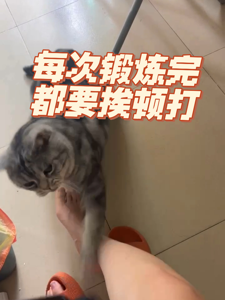 财经 第53页
