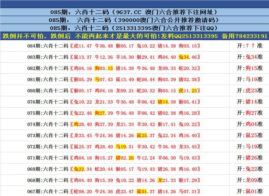 新澳门四肖八码网站，探索与解析，新澳门四肖八码网站深度解析与探索