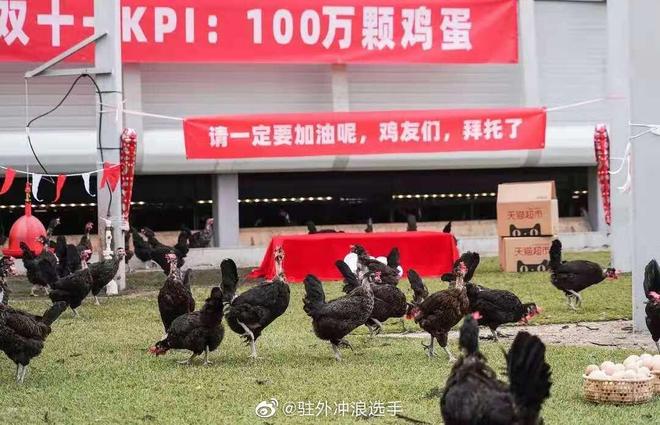 2025新澳门资料鸡号几号