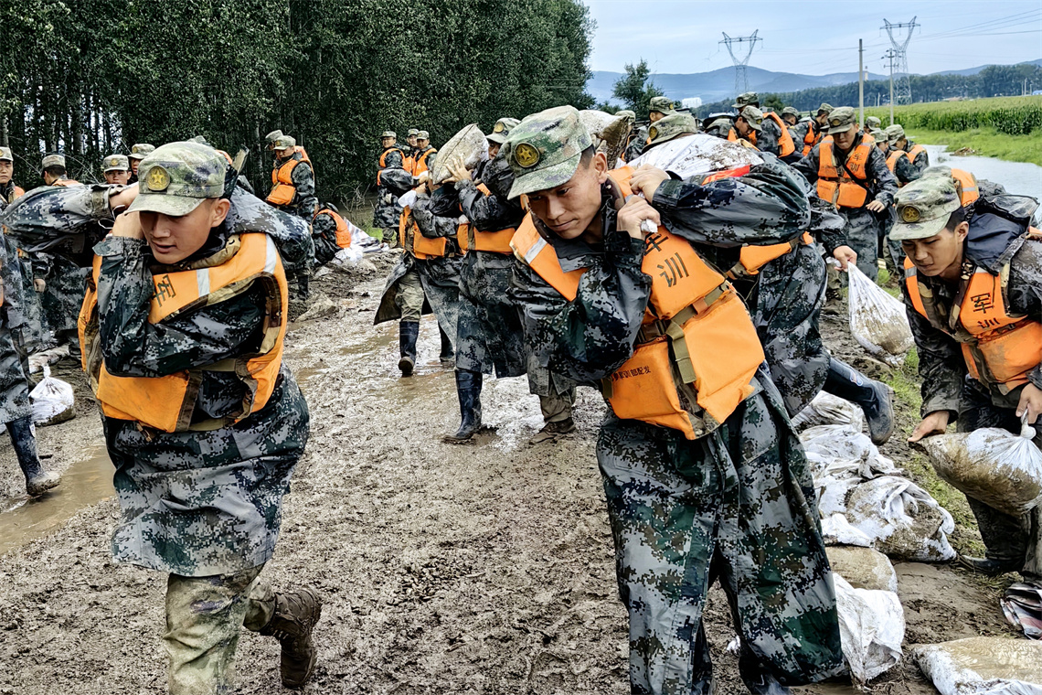 北部战区兵力概况深度解析，北部战区兵力概况深度剖析