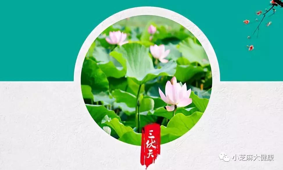今天是末伏第一天，迎接新的挑战与机遇，末伏首日，挑战与机遇的交汇点