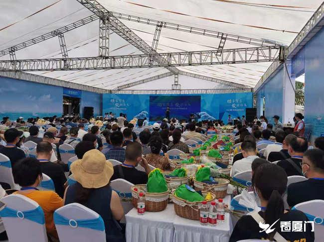 解放军在台海军演，展现力量与决心，解放军台海军演，展示力量与坚定决心