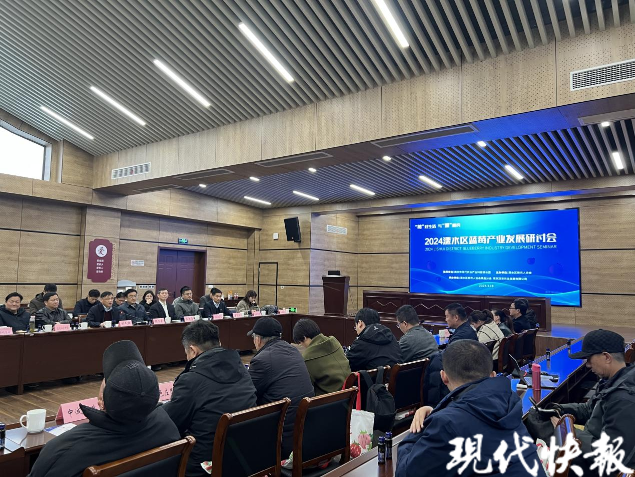 溧水今天刚刚发生的重大新闻，溧水今日重大新闻速递