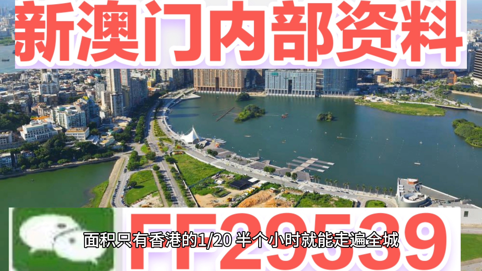 新澳门资料大全正版资料四不像，全面解析与深度探索，澳门正版资料大全深度解析与探索四不像现象