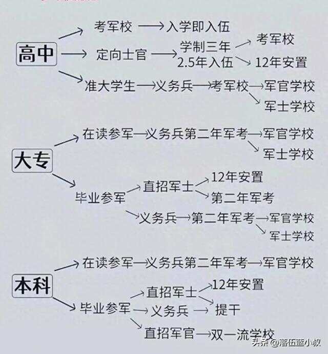 在校大专生如何报名参军，步骤与指南，在校大专生报名参军步骤与指南