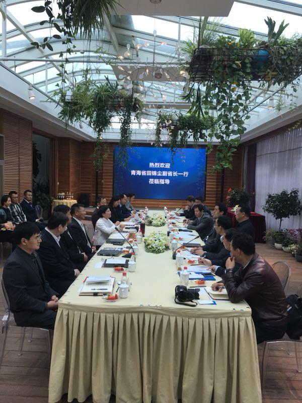 中国国际战略研究基金会官网，探索中国对外战略的重要窗口，中国国际战略研究基金会官网，探索中国对外战略的关键窗口