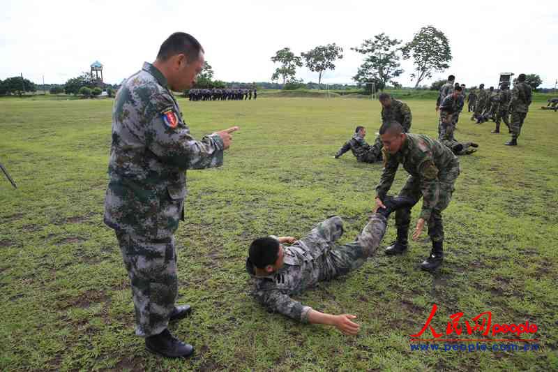 黎登贵高清，揭开神秘面纱，探寻高清世界中的卓越魅力，黎登贵高清，探寻卓越魅力的神秘面纱下的高清世界