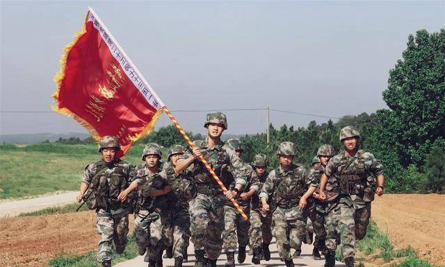 关于中国人民解放军陆军第八十三集团军编制深度解析，中国人民解放军陆军第八十三集团军编制深度解析与揭秘