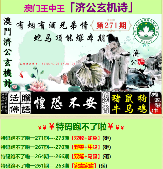 香港王中王网乐一肖中待，探索与解析，香港王中王网乐一肖中待，深度探索与解析