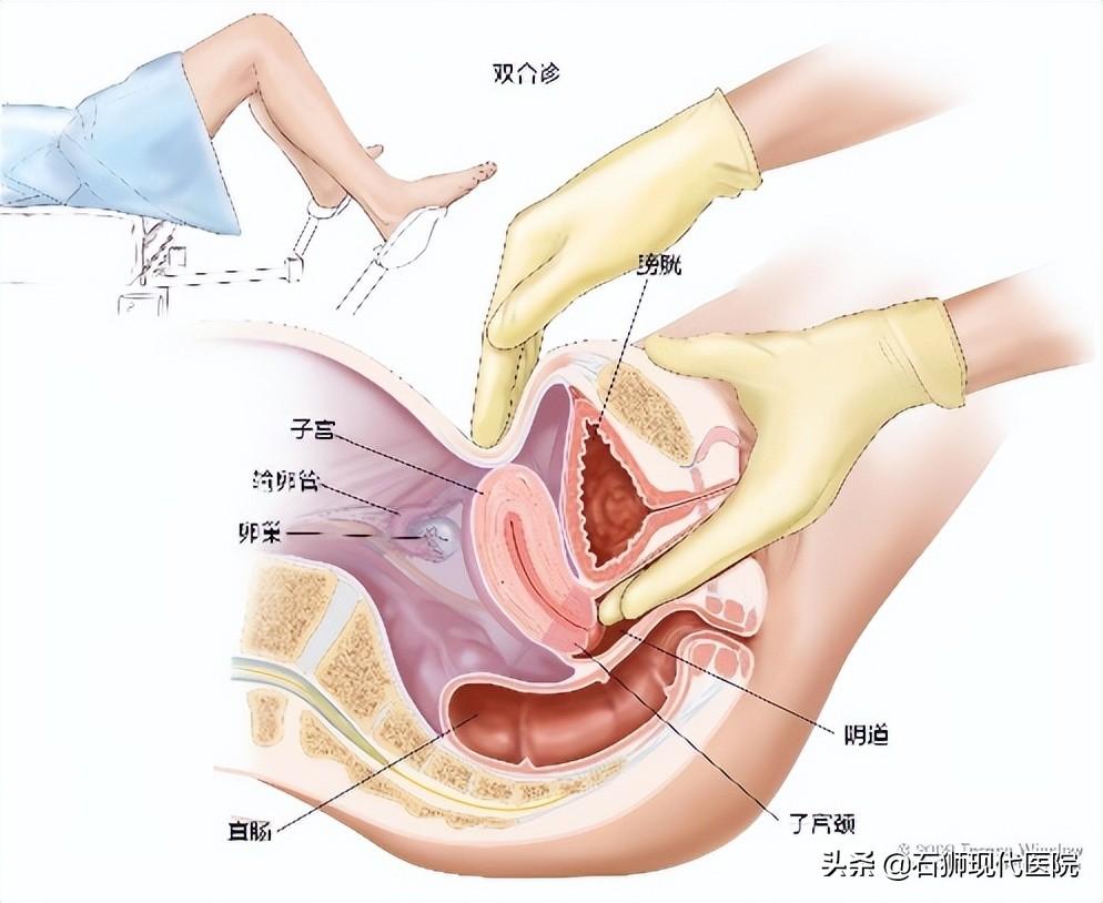 新闻咨询 第4页