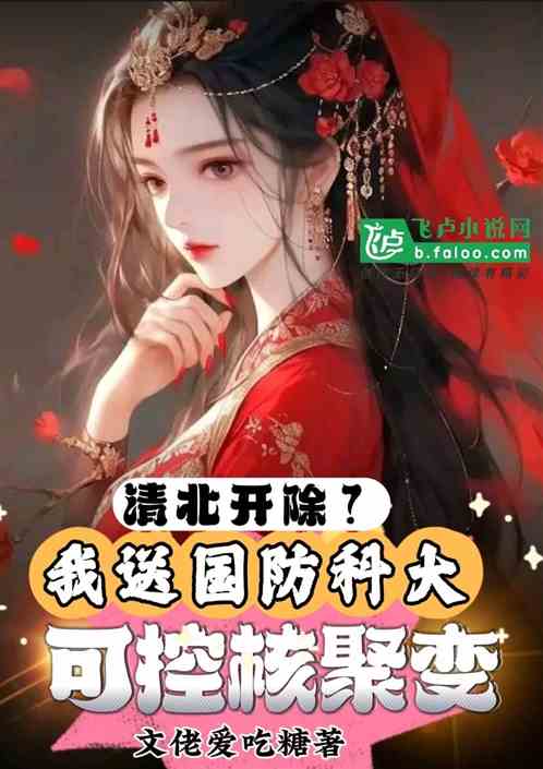 国防小说中的苏寒，英雄归处，情感归宿何方？，苏寒的征途，国防英雄的情感归处
