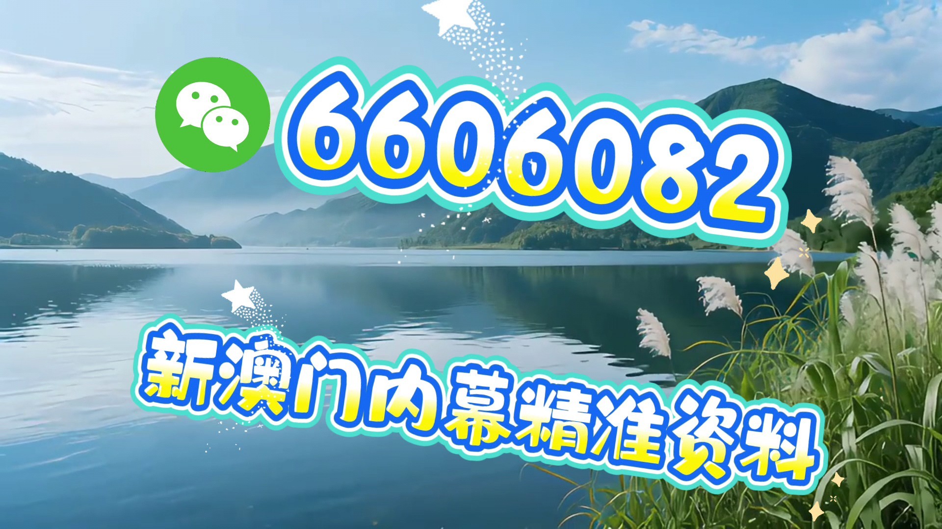精准预测揭秘