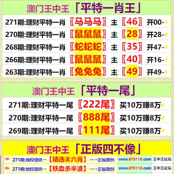 王中王开奖一马中特2肖，揭秘彩票背后的秘密，揭秘彩票背后的秘密，王中王开奖一马中特2肖的真相探索