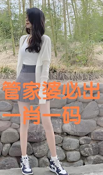 管家婆必出一中一特，揭秘其背后的秘密与策略，揭秘管家婆必出一中一特的秘密与策略